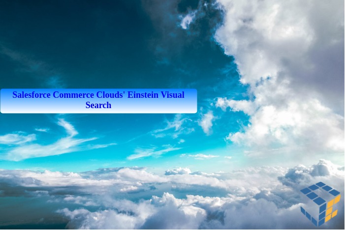 Einstein Visual Search